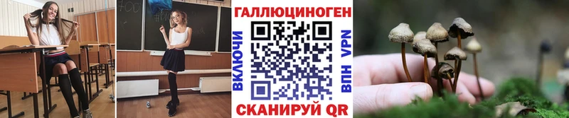 Псилоцибиновые грибы Magic Shrooms  Купить где  Терек 